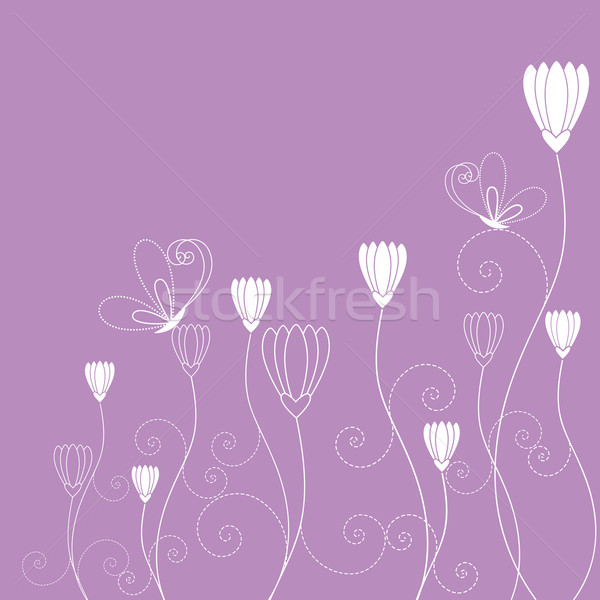 春 紫色 白 フローラル 蝶 壁紙 ストックフォト © meikis