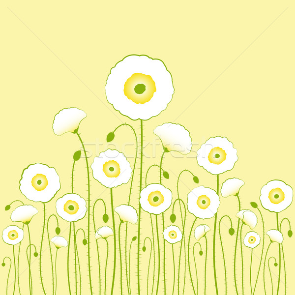 Blanche pavot jaune printemps résumé fond Photo stock © meikis
