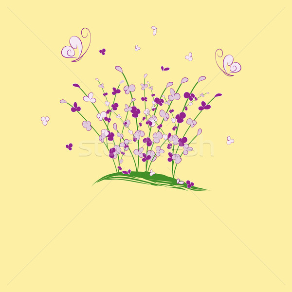 夏場 紫色の花 蝶 グリーティングカード 花 春 ストックフォト © meikis