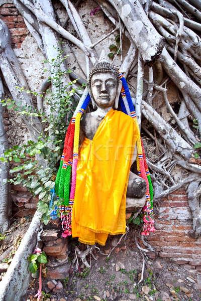 buddha covered by roots in temple area Wat Phra Si Sanphet Stock photo © meinzahn