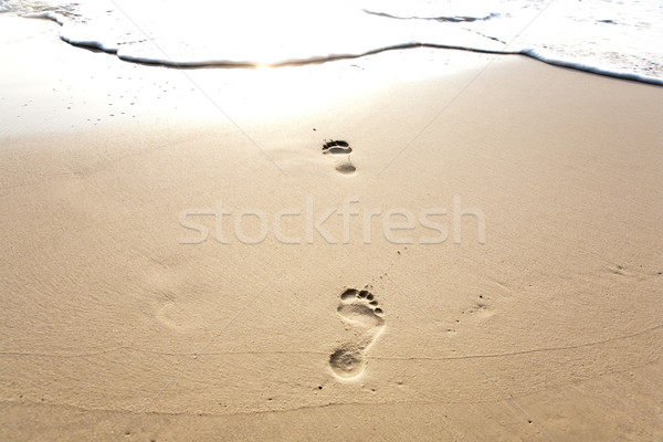 Menselijke volwassen voetafdruk zand strand water Stockfoto © meinzahn