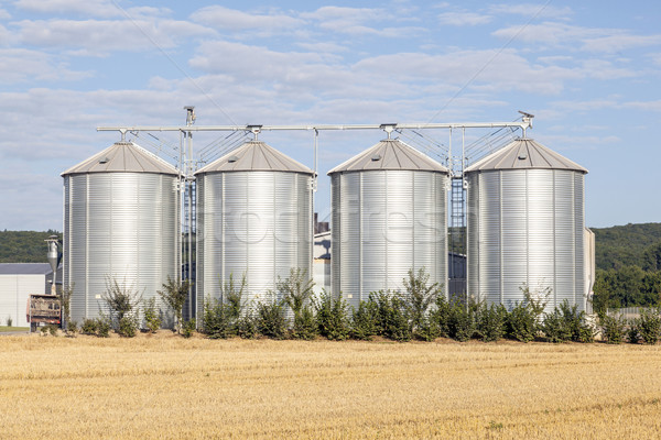 four silver silos in the field after the harvest  Stock photo © meinzahn