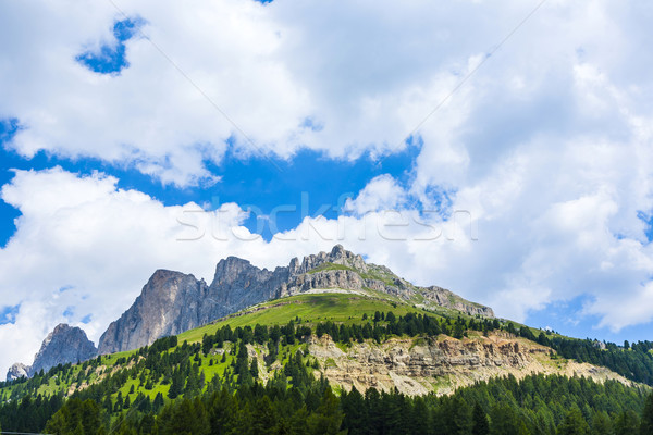 view to the Karer pass in the dolomite alpes Stock photo © meinzahn
