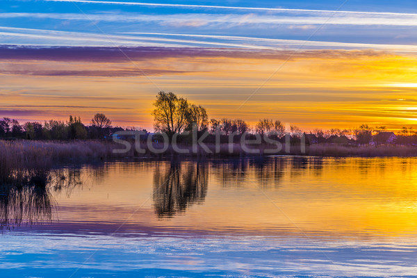 日落 反射 水 景觀 樹 藍色 商業照片 © meinzahn