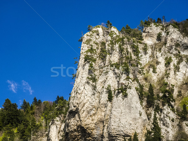  landscape of south of France, Rochecolombe, Drome, Rhone, Alps Stock photo © meinzahn