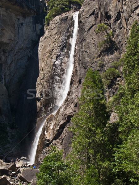 Upper and lower Yosemite falls with a powerful spring water flow Stock photo © meinzahn