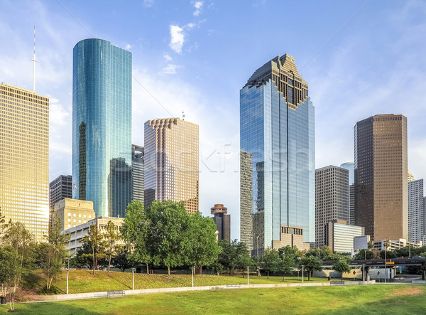Panoramę Houston Texas dzień biuro miasta Zdjęcia stock © meinzahn