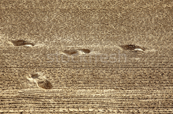 close-up of human footprints in the sand at the beach Stock photo © meinzahn