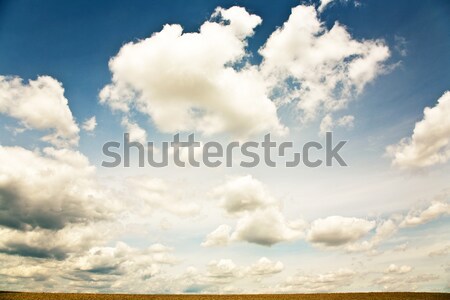 Stok fotoğraf: Bulutlar · mısır · alan · yaz · doku · doğa