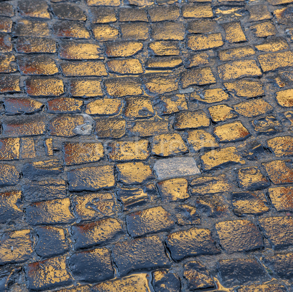 wet cobblestones reflect the sun Stock photo © meinzahn