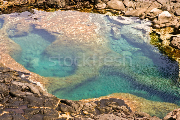 natural pool at the coastside of lanzarote in nature Stock photo © meinzahn