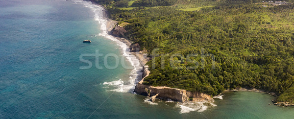 Selva costa oceano Dominica verde Foto stock © meinzahn