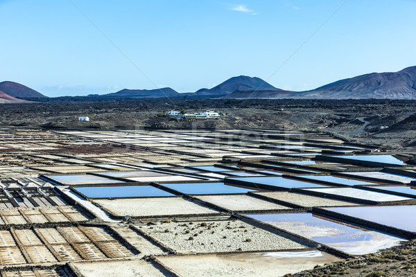 famous old Saline in Janubio, Lanzarote Stock photo © meinzahn