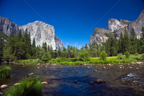 view to western rocket plateau of yosemite national park Stock photo © meinzahn