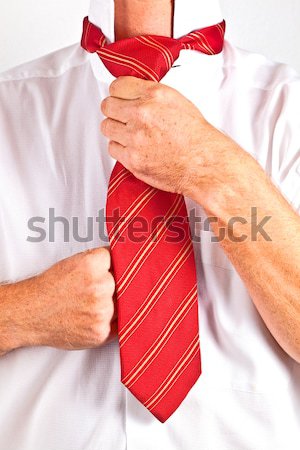 boy binding a tie Stock photo © meinzahn