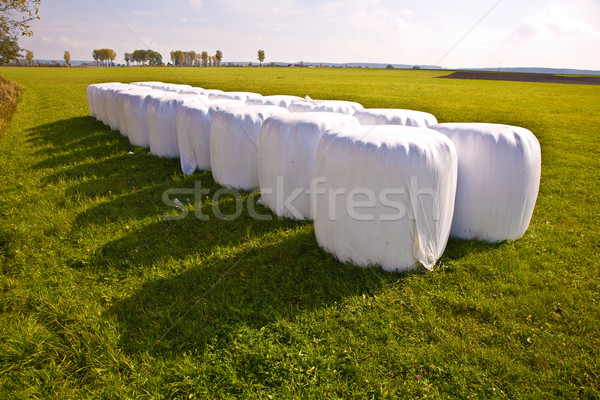 bale of straw in autumn in intensive colors Stock photo © meinzahn