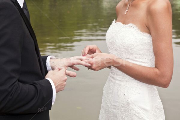 Casamento casal parque cerimônia de casamento família mão Foto stock © meinzahn
