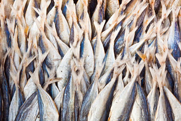stockfish at the market Stock photo © meinzahn