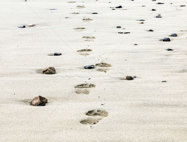 footprints on the beach  Stock photo © meinzahn