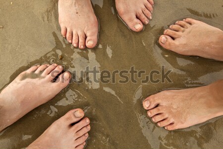 feet of a family in the fine sand of the beached, grouped in a c Stock photo © meinzahn