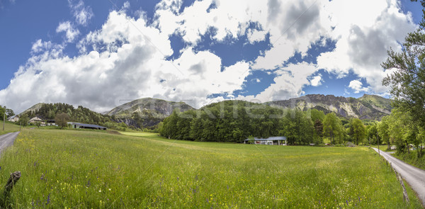 meadow near le Vernet at col Mariaud Stock photo © meinzahn