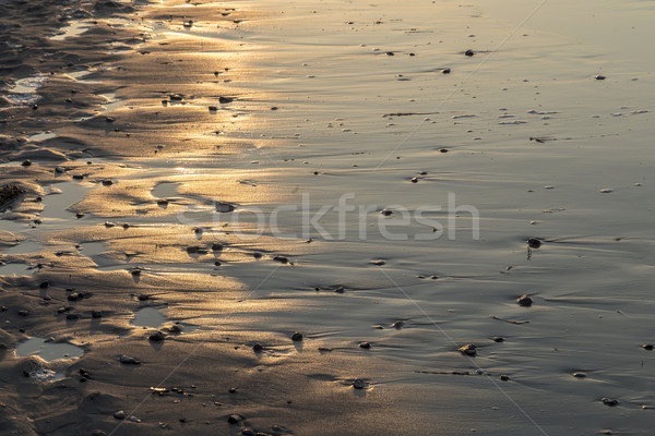 Naplemente tengerpart Balti-tenger részlet Stock fotó © meinzahn