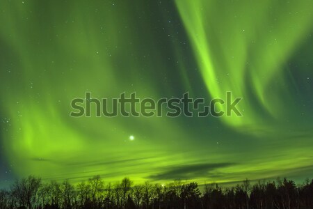 Espetacular norte luzes aurora céu dançar Foto stock © meinzahn