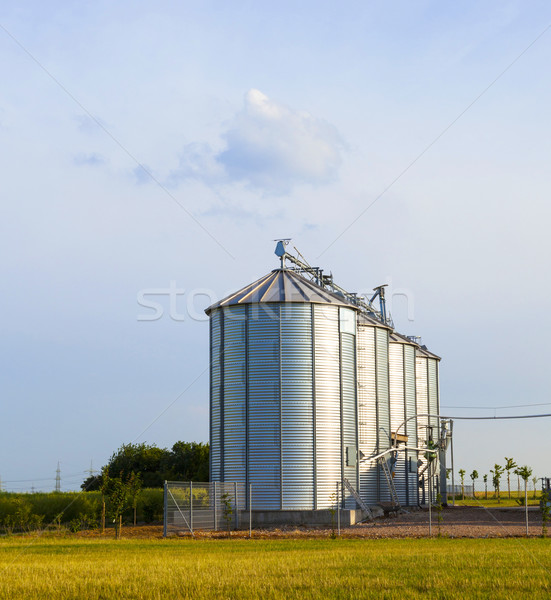 silver silos in corn field Stock photo © meinzahn