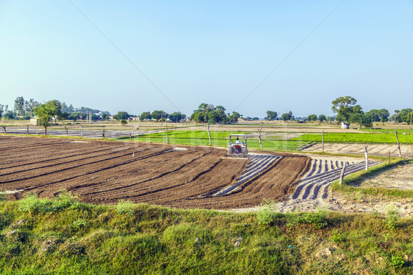 fresh plowed fields in India Stock photo © meinzahn