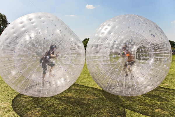 children have a lot of fun in the Zorbing Ball Stock photo © meinzahn