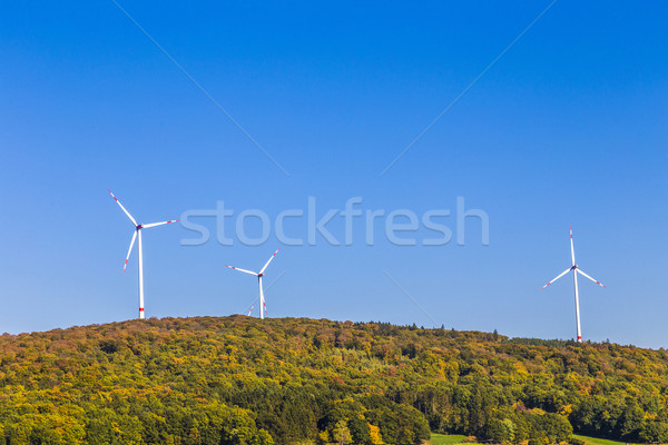 Panoramisch landschap steegje velden bos slechte Stockfoto © meinzahn