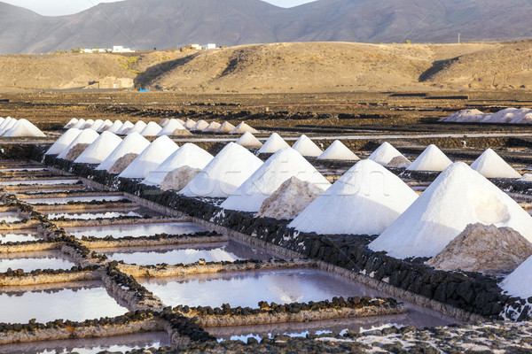 Salt refinery, Saline from Janubio, Lanzarote, Spain Stock photo © meinzahn