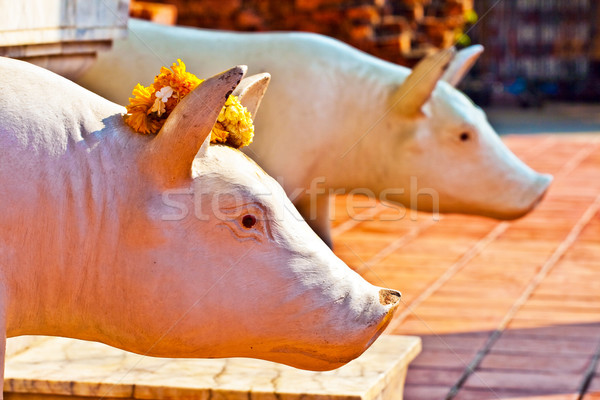 beautiful statue of pigs as gods dressed with flowers  in temple Stock photo © meinzahn