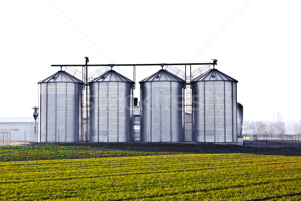 silver silos in the field Stock photo © meinzahn