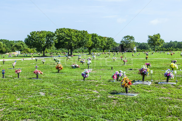 Americano cementerio flores cruz campo signo Foto stock © meinzahn