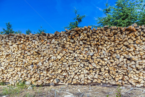 lot of wooden piles under blue clear sky Stock photo © meinzahn