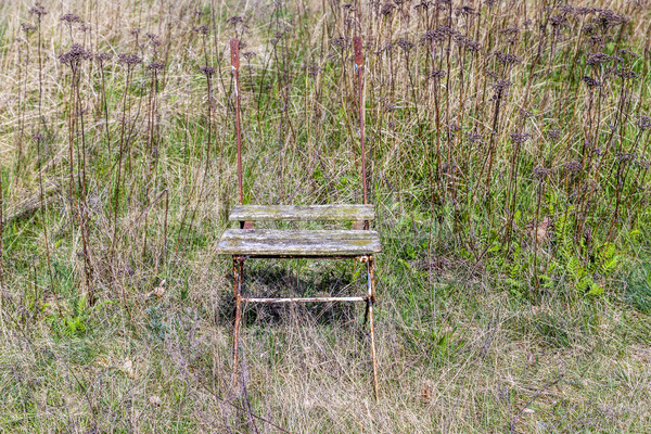 Starych zgniły drewniane krzesło łące drewna Zdjęcia stock © meinzahn