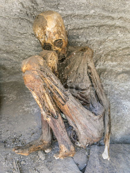 Antichi Bolivia vecchio testa scheletro Foto d'archivio © meinzahn
