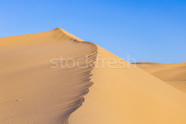 Duna amanecer desierto hermosa sol luz Foto stock © meinzahn