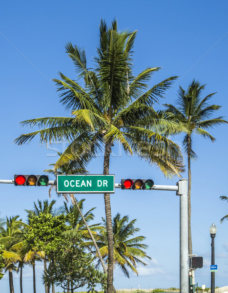 ocean drive sign in south beach with palms  Stock photo © meinzahn