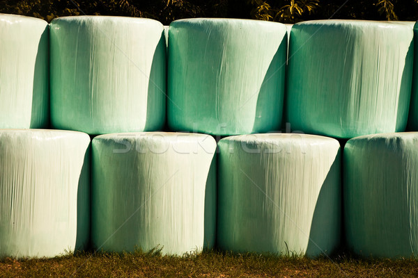 bale of straw infold in plastic film (foil) to keep dry  Stock photo © meinzahn