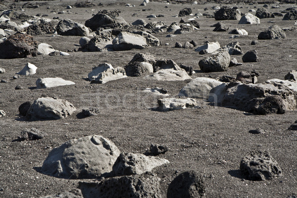 volcanic stones at the beach formation Stock photo © meinzahn