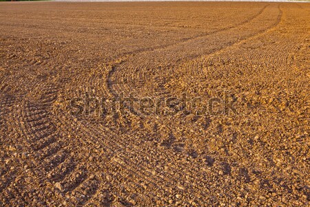 fresh plowghed acres in beautiful light Stock photo © meinzahn