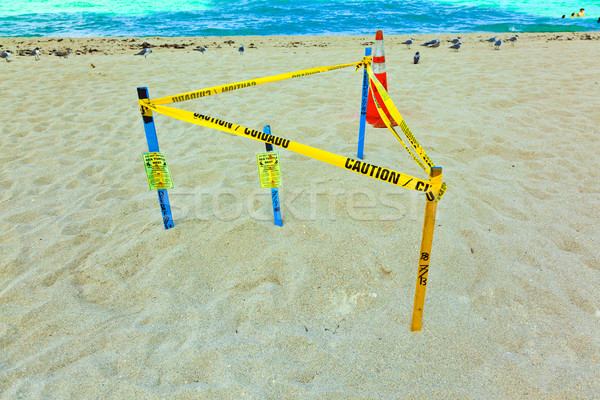 seaturtle net under the sand of the beach protected by a barrier Stock photo © meinzahn