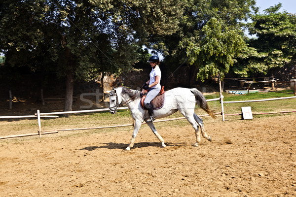 female rider trains the horse in the riding course Stock photo © meinzahn