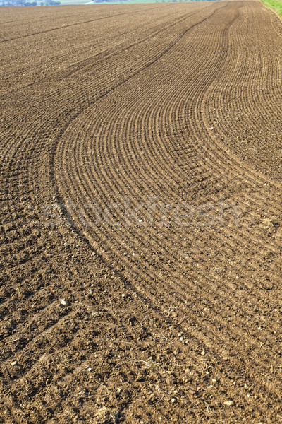 Frissen mező tavasz fekete mezőgazdaság föld Stock fotó © meinzahn