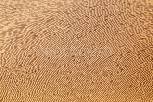 Świt pustyni piękna słońce krajobraz Zdjęcia stock © meinzahn