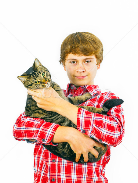 Erkek kedi kol gülümseme sevmek Stok fotoğraf © meinzahn