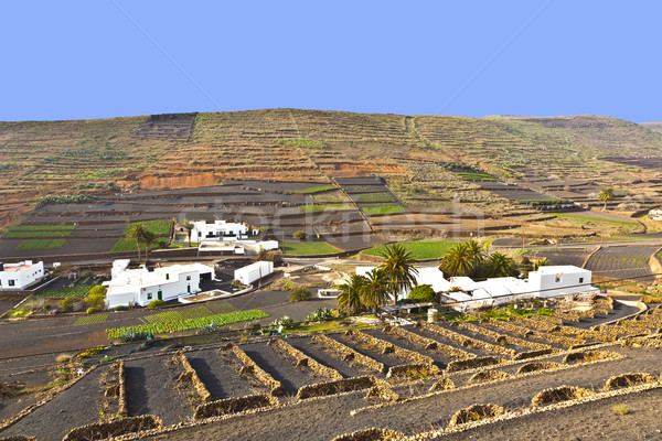 farmhouse in rural hilly area in Lanzarote  Stock photo © meinzahn