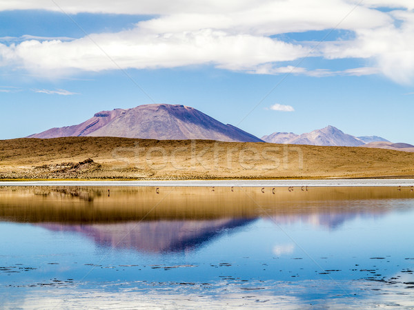Laguna Kara salt lake with reflection of the mountain, Eduardo A Stock photo © meinzahn